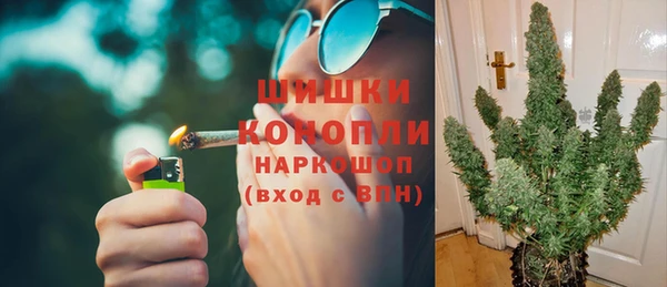 дмт Богданович