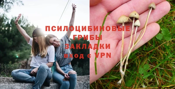 прущая мука Белокуриха