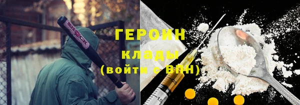 прущие грибы Каменногорск