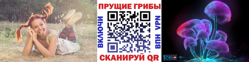 продажа наркотиков  Бокситогорск  Псилоцибиновые грибы мухоморы 